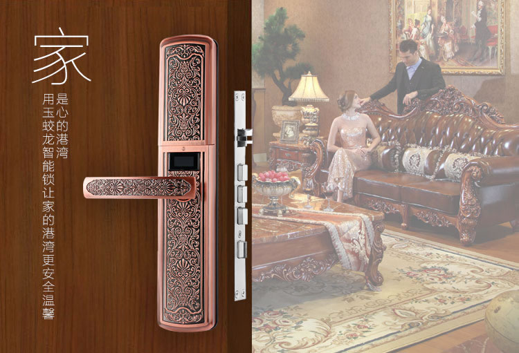玉蛟龍智能門鎖 智能鎖防窺視輸入、半導(dǎo)體/光學(xué)指紋傳感器