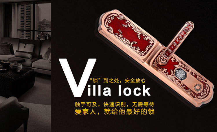 玉蛟龍智能門鎖 智能鎖防窺視輸入、半導(dǎo)體/光學(xué)指紋傳感器