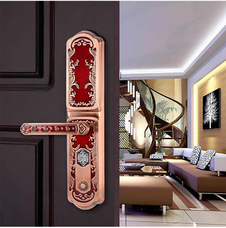 玉蛟龍智能門鎖 智能鎖防窺視輸入、半導(dǎo)體/光學(xué)指紋傳感器