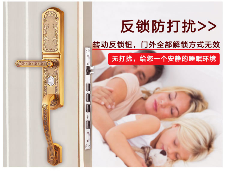 玉蛟龍指紋鎖 智能別墅鎖智能化的觸摸鍵盤、玉蛟龍密碼感應(yīng)門鎖系列