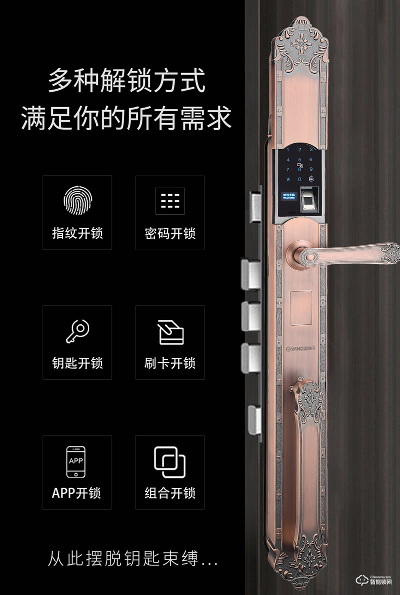 揚子智能鎖 T06豪華別墅式智能鎖