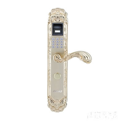 納莎歐式風格別墅鎖 三合一指紋鎖 入戶門鎖