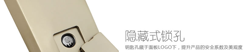 豪力士指紋鎖智能鎖  D3633F木門鐵門密碼鎖防盜門鎖 手機AAP感應電子鎖