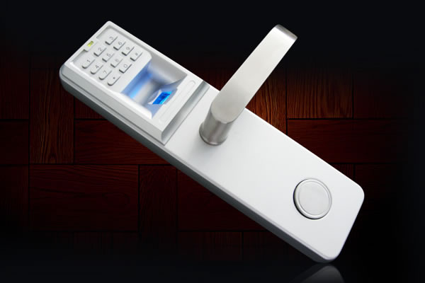 中國結智能鎖 指紋鎖家用防盜門智能鎖 木門鎖刷卡鎖大門密碼鎖電子門鎖