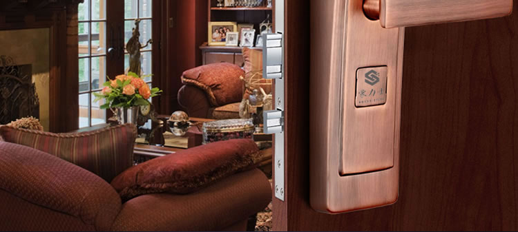 豪力士智能鎖指紋鎖 D5688F家用防盜門密碼磁卡感應電子鎖