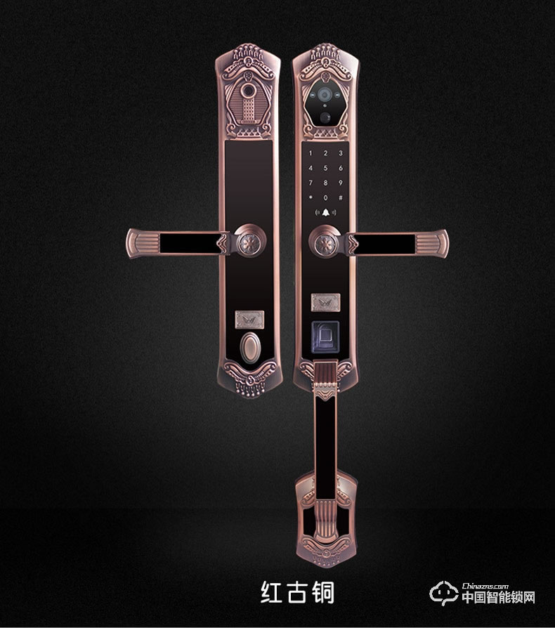 九萬里智能鎖C900 歐式古典別墅大門鎖指紋密碼鎖