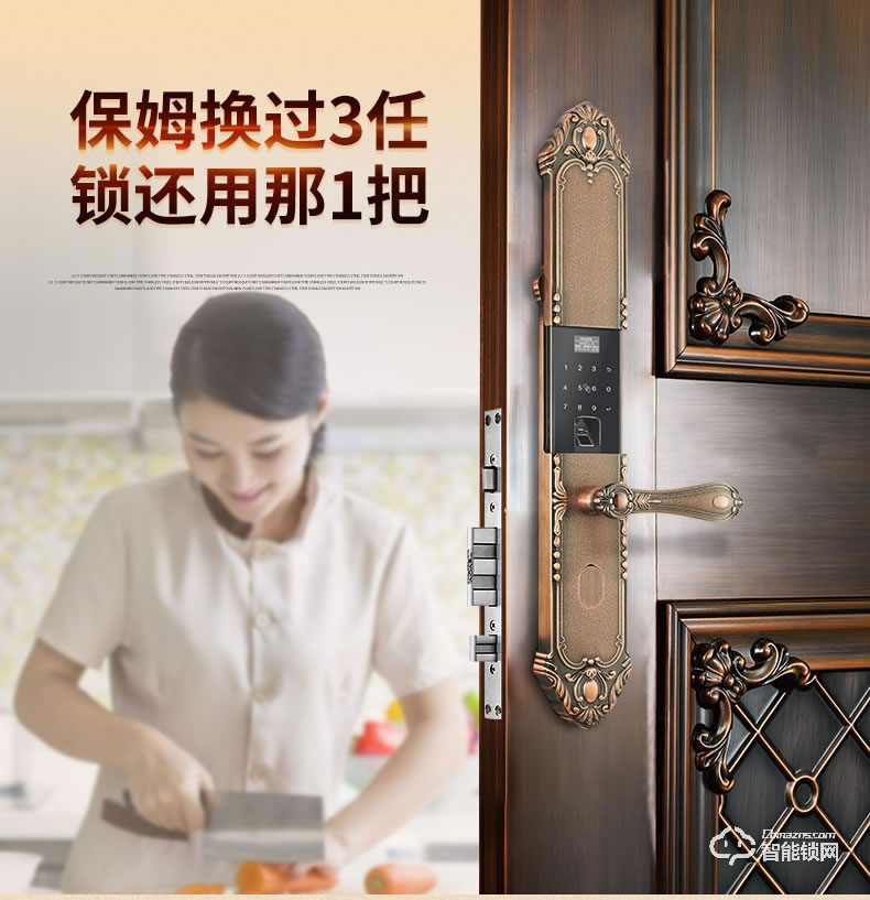 亞太天能智能鎖 F3歐式別墅防盜門智能鎖