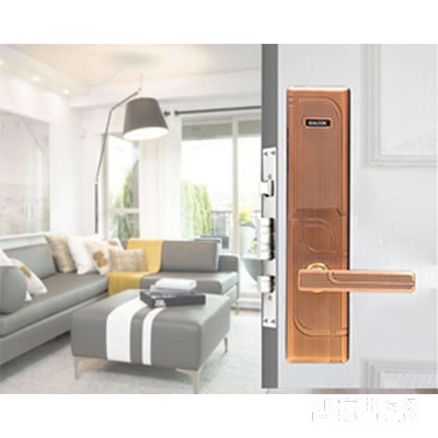 有鎖智能鎖 滑蓋指紋鎖防盜門智能鎖三防鎖體