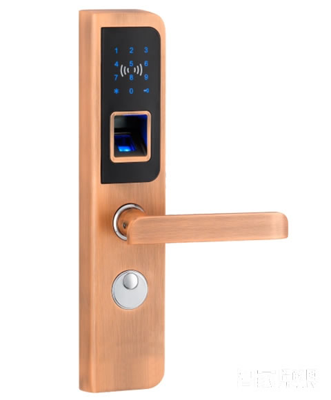 特安捷智能鎖 家用直板智能指紋鎖 防盜電子密碼鎖