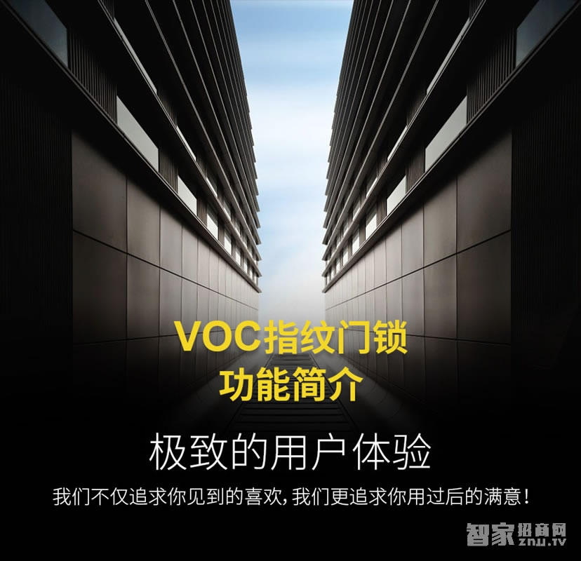 voc奢華貴族系列 LS79智能密碼指紋鎖
