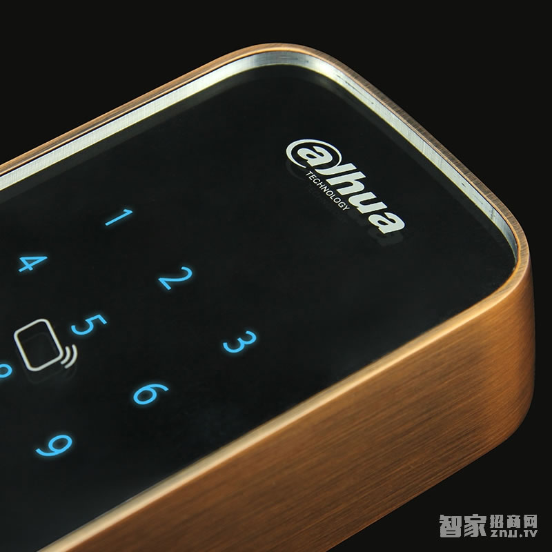 大華樂橙密碼指紋鎖 家用防盜電子鎖