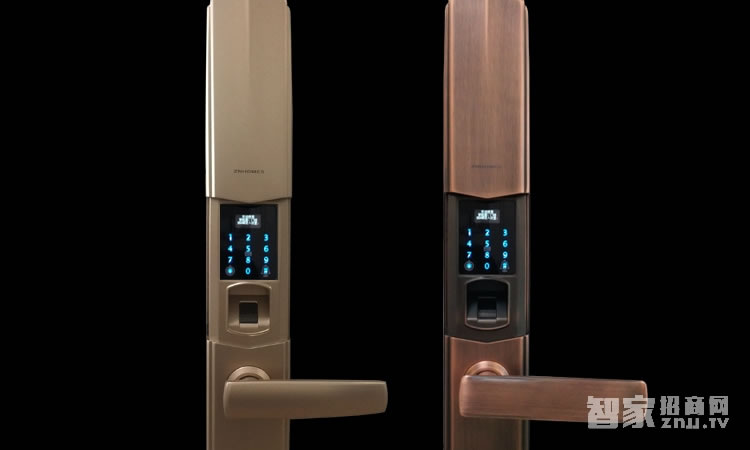 智能屋指紋密碼鎖 家用防盜智能鎖