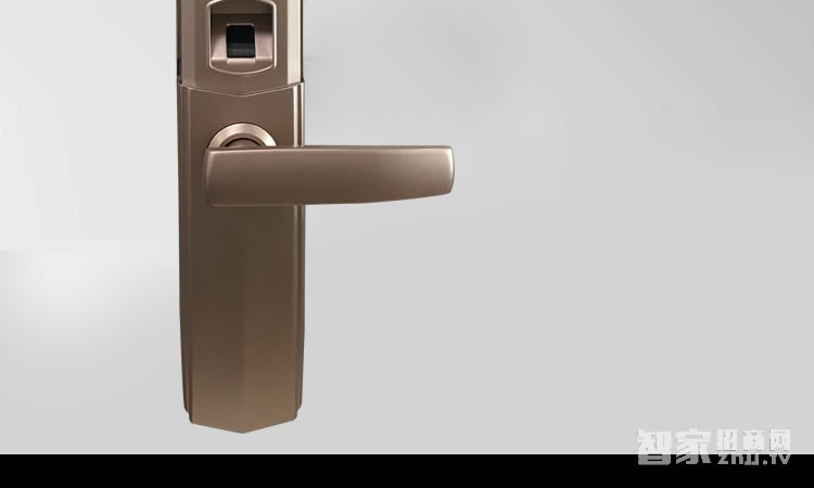 智能屋指紋密碼鎖 家用防盜智能鎖