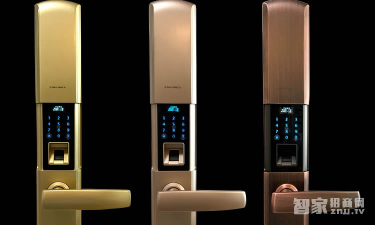 智能屋智能鎖 家用指紋密碼鎖（麗都金）