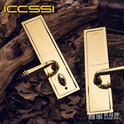 艾棲防盜銅門鎖 純銅手工制 德國(guó)進(jìn)口電子門鎖