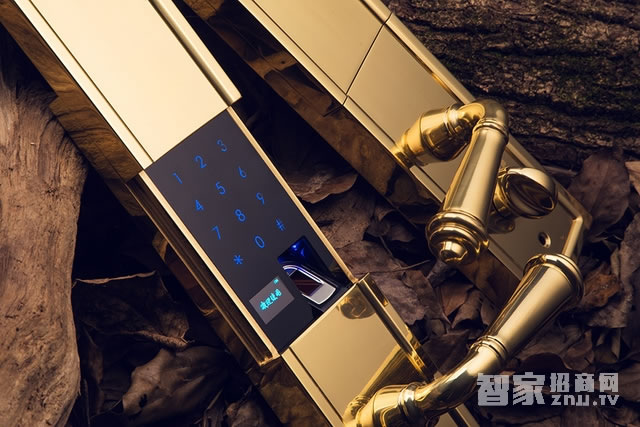 艾棲防盜銅門鎖 純銅手工制 德國(guó)進(jìn)口電子門鎖