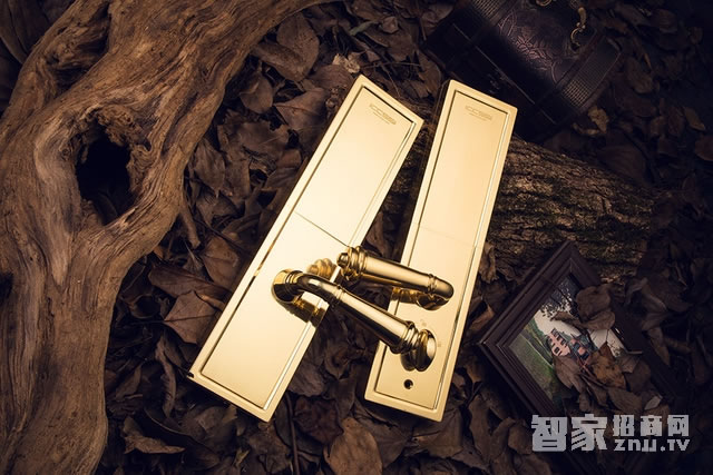 艾棲防盜銅門鎖 純銅手工制 德國(guó)進(jìn)口電子門鎖