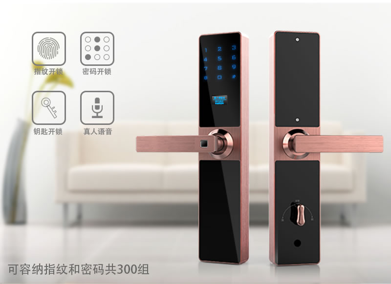 慧星辰智能鎖 半導體指紋密碼紅膜鎖 直板防盜門鎖