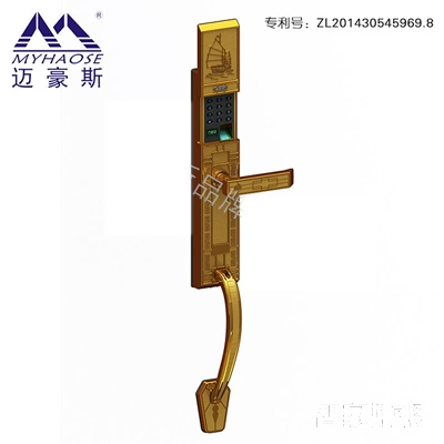 靈寶公寓防盜門智能鎖 家用電子感應鎖