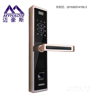 靈寶全自動(dòng)智能鎖 家用木門室內(nèi)指紋密碼鎖