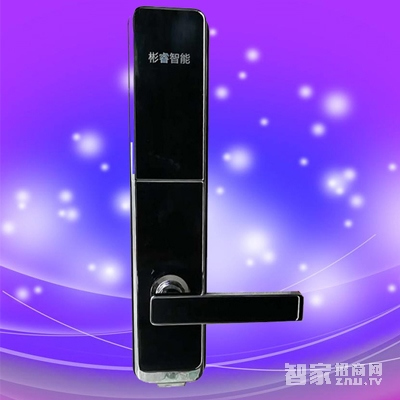 彬睿智能鎖 鋅合金指紋密碼鎖 公寓入戶門防盜智能鎖