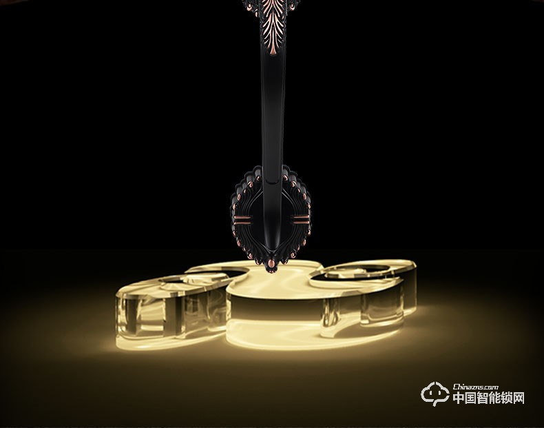 杜魯克智能鎖 歐式別墅大門指紋鎖雙開門銅門鑄鋁門智能鎖