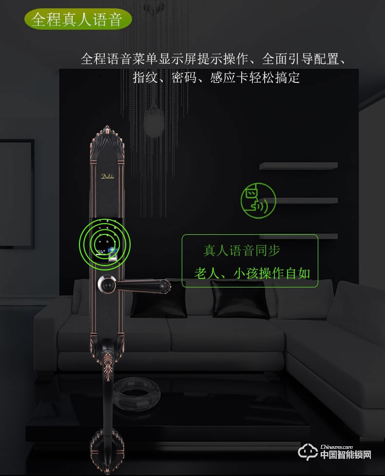 杜魯克智能鎖 歐式別墅大門指紋鎖雙開門銅門鑄鋁門智能鎖