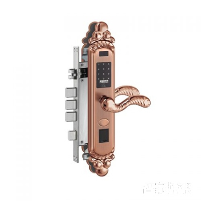 藍盔別墅智能鎖 直板指紋密碼鎖 電子刷卡鎖