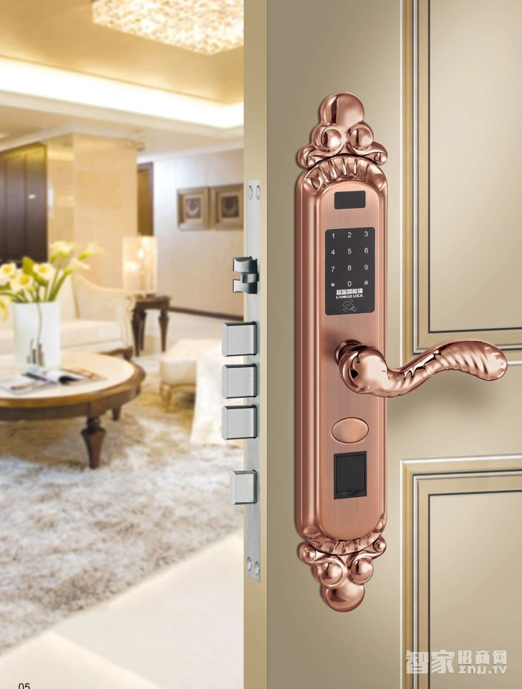 藍盔別墅智能鎖 直板指紋密碼鎖 電子刷卡鎖