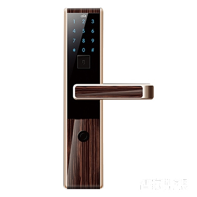 全民家用智能鎖 電子刷卡門鎖 虛位密碼設(shè)置門鎖