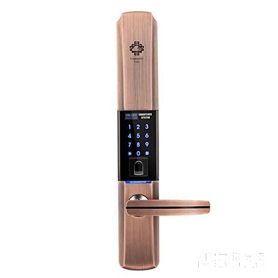 堅甲衛(wèi)士瑞典指紋頭平滑蓋指紋鎖 密碼刷卡鎖