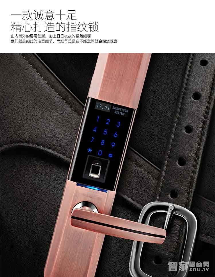 堅甲衛(wèi)士瑞典指紋頭平滑蓋指紋鎖 密碼刷卡鎖