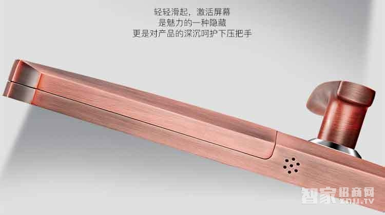 堅甲衛(wèi)士瑞典指紋頭平滑蓋指紋鎖 密碼刷卡鎖