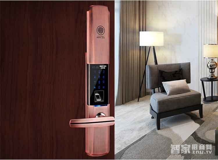 堅甲衛(wèi)士瑞典指紋頭平滑蓋指紋鎖 密碼刷卡鎖