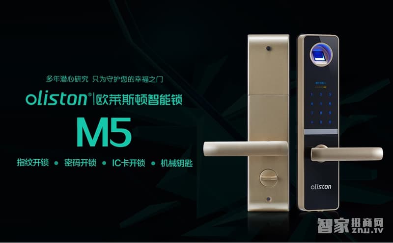 歐萊斯頓指紋鎖 密碼智能防盜門鎖