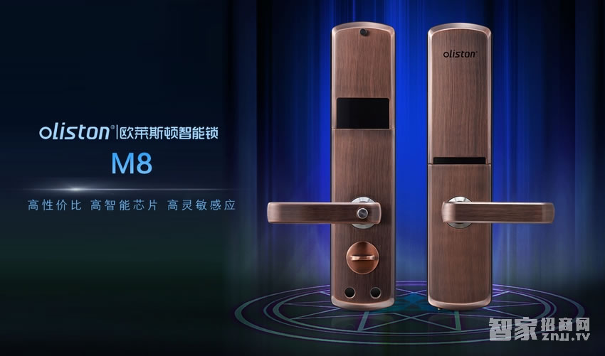 歐萊斯頓 指紋鎖智能鎖 家用防盜門鎖云電子鎖密碼鎖