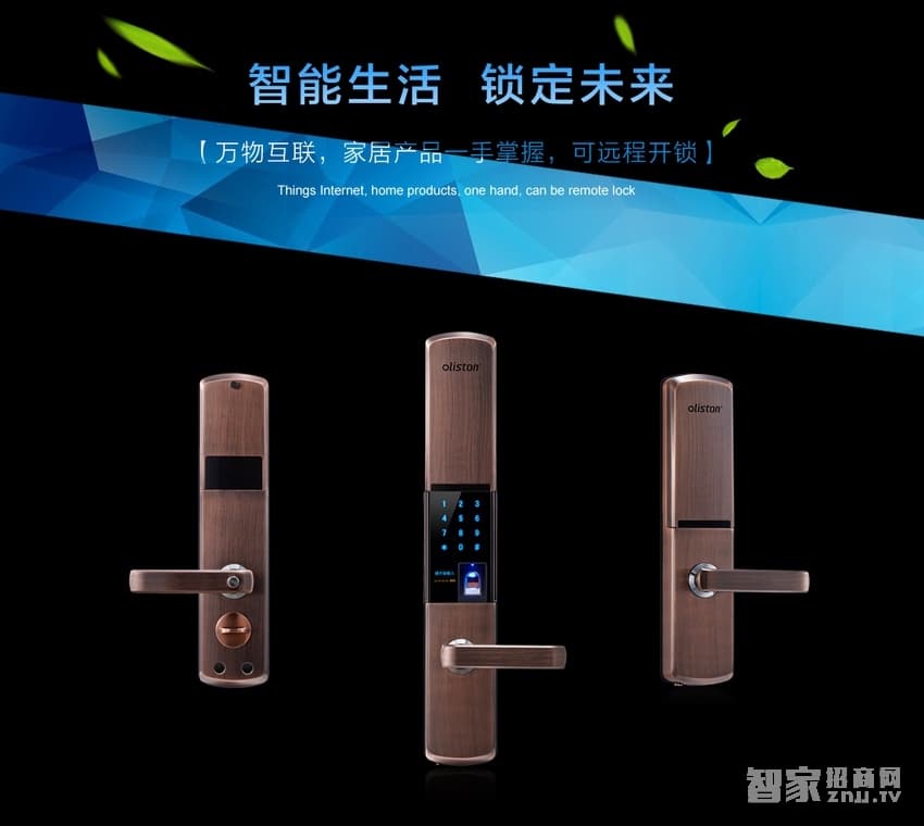 歐萊斯頓 指紋鎖智能鎖 家用防盜門鎖云電子鎖密碼鎖