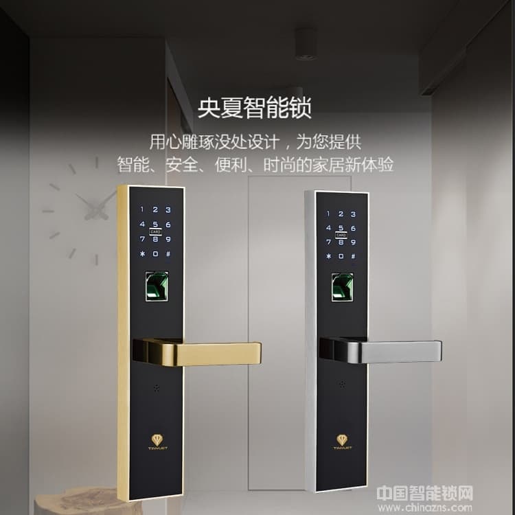 天玥指紋鎖 簡約大氣家居智能鎖 指紋密碼鎖