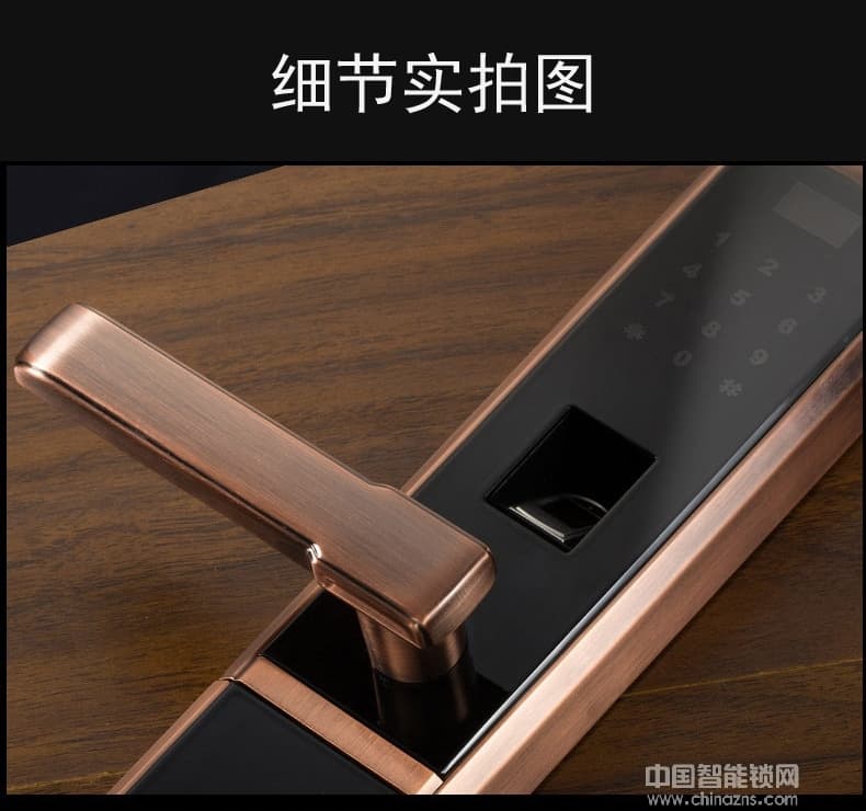 凱帝羅斯家用木門鋅合金密碼鎖 手機(jī)遠(yuǎn)程電子鎖
