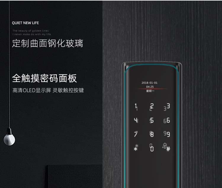 拉盯指紋鎖 不銹鋼滑蓋指紋鎖 家用刷卡密碼鎖