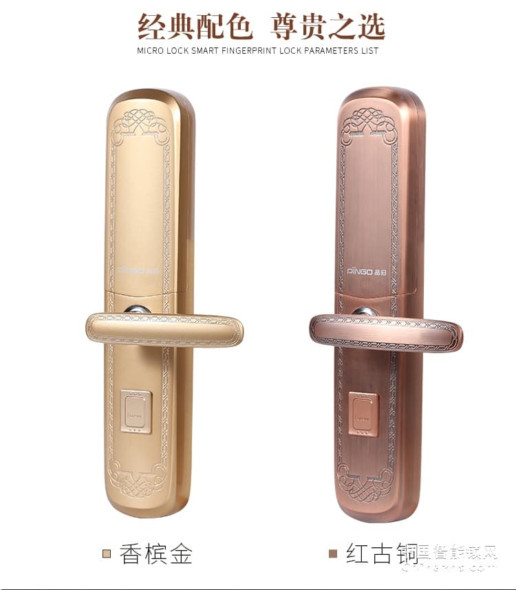 榮事達(dá)品冠歐式指紋鎖小智12 別墅自動(dòng)滑蓋門鎖