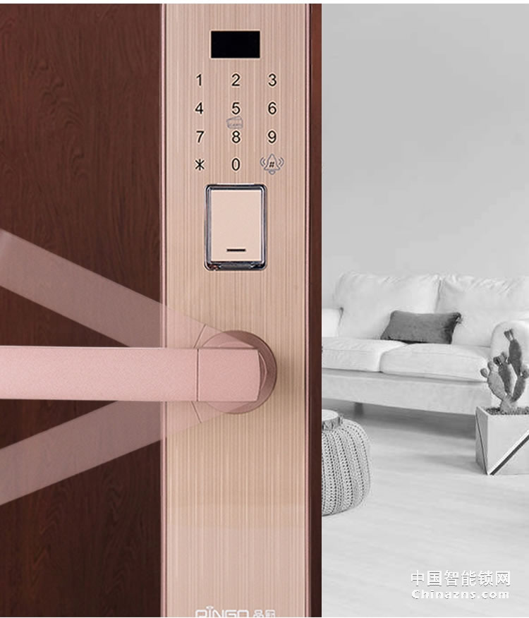 榮事達(dá)品冠密碼鎖小智16 家用防盜門指紋鎖