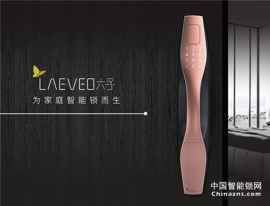 六孚指紋鎖 柏拉圖指紋防盜鎖 自動鎖門/觸摸翻蓋/遠程微信開門