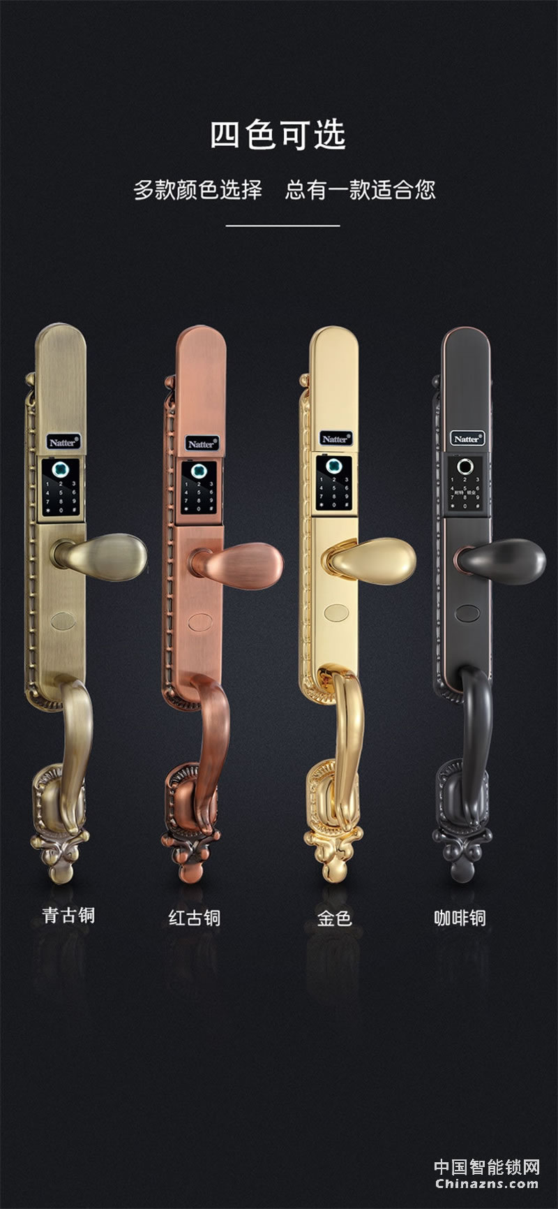 耐特別墅指紋鎖 豪華銅門N6