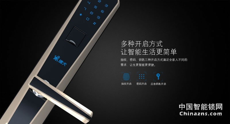 德犬簡(jiǎn)歐指紋密碼鎖DL0003 家用辦公室防盜門木門指紋鎖