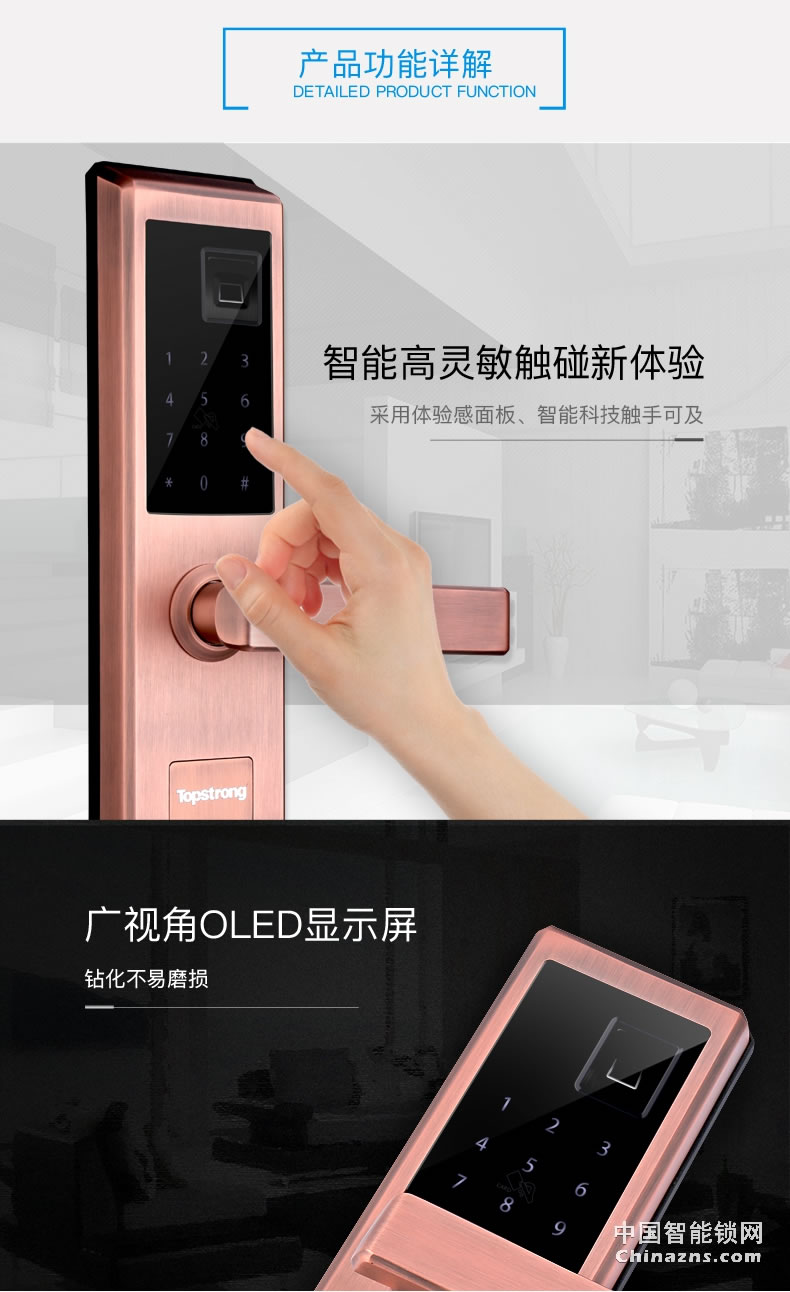 頂固不銹鋼指紋鎖 密碼防盜鎖 電子入戶鎖