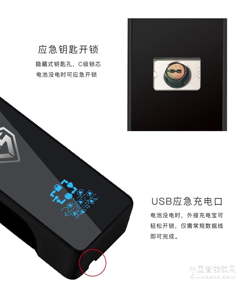 因碩人臉識別鎖 全自動指紋鎖 刷臉智能門鎖