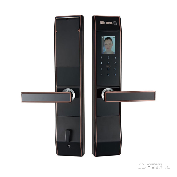 德安特人臉識別智能鎖 防盜門木門電子鎖