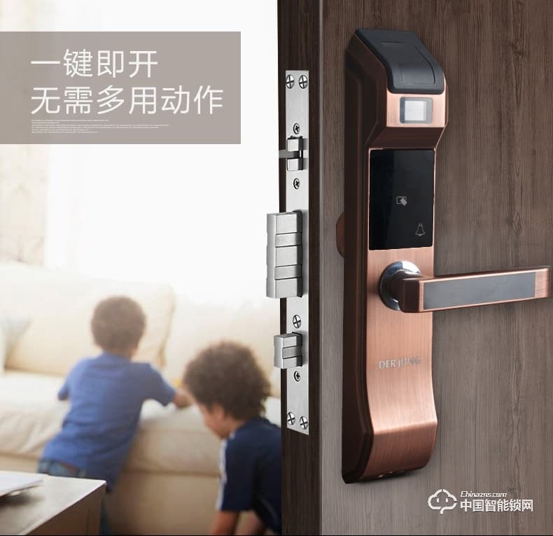 典匠智能鎖 D6017智能家用防盜門半導(dǎo)體指紋鎖密碼鎖