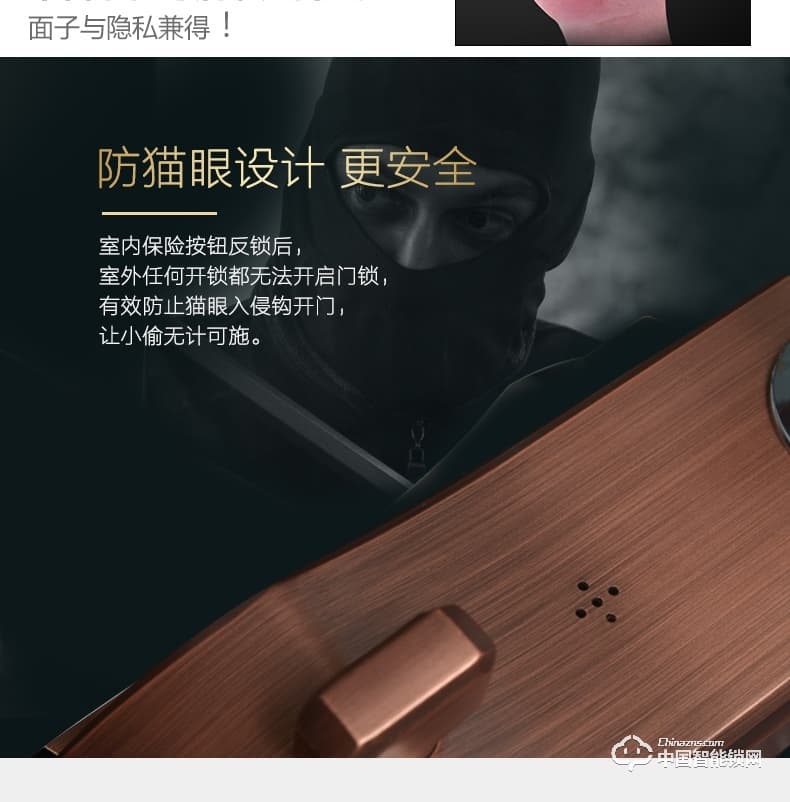 典匠智能鎖 D6017智能家用防盜門半導(dǎo)體指紋鎖密碼鎖